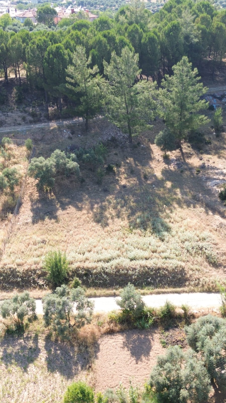 MUĞLA BAYIRDA İMARLI, İKİZ VİLLA İNŞAAT RUHSATI ALINMIŞ MÜSTAKİL 498M2 SATILIK ARSA